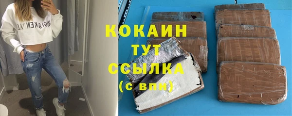 молекула духа Инта