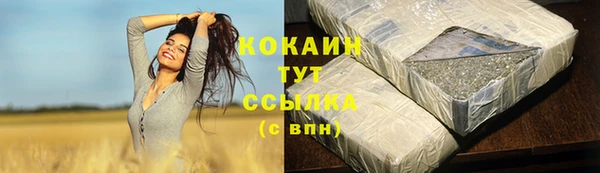 молекула духа Инта