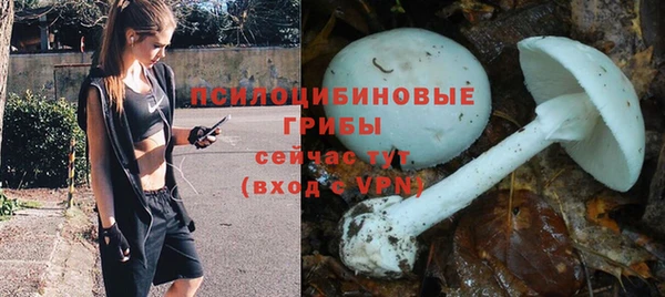 молекула духа Инта