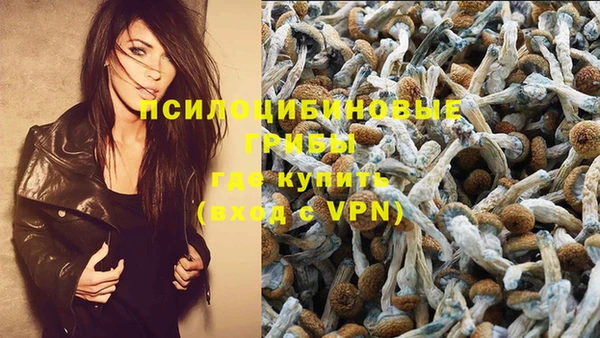 бошки Инсар