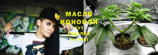 молекула духа Инта