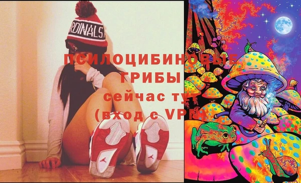 молекула духа Инта