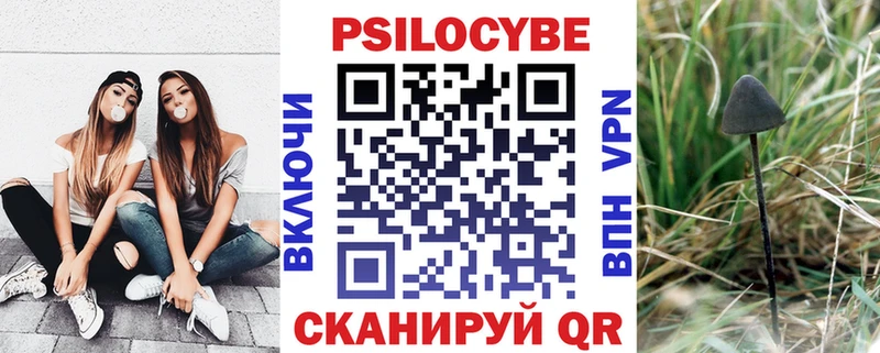 Галлюциногенные грибы Psilocybe  Кингисепп 