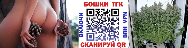Бошки Шишки семена  наркотики  Кингисепп 